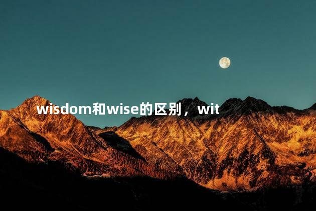 wisdom和wise的区别，wit wisdom的区别